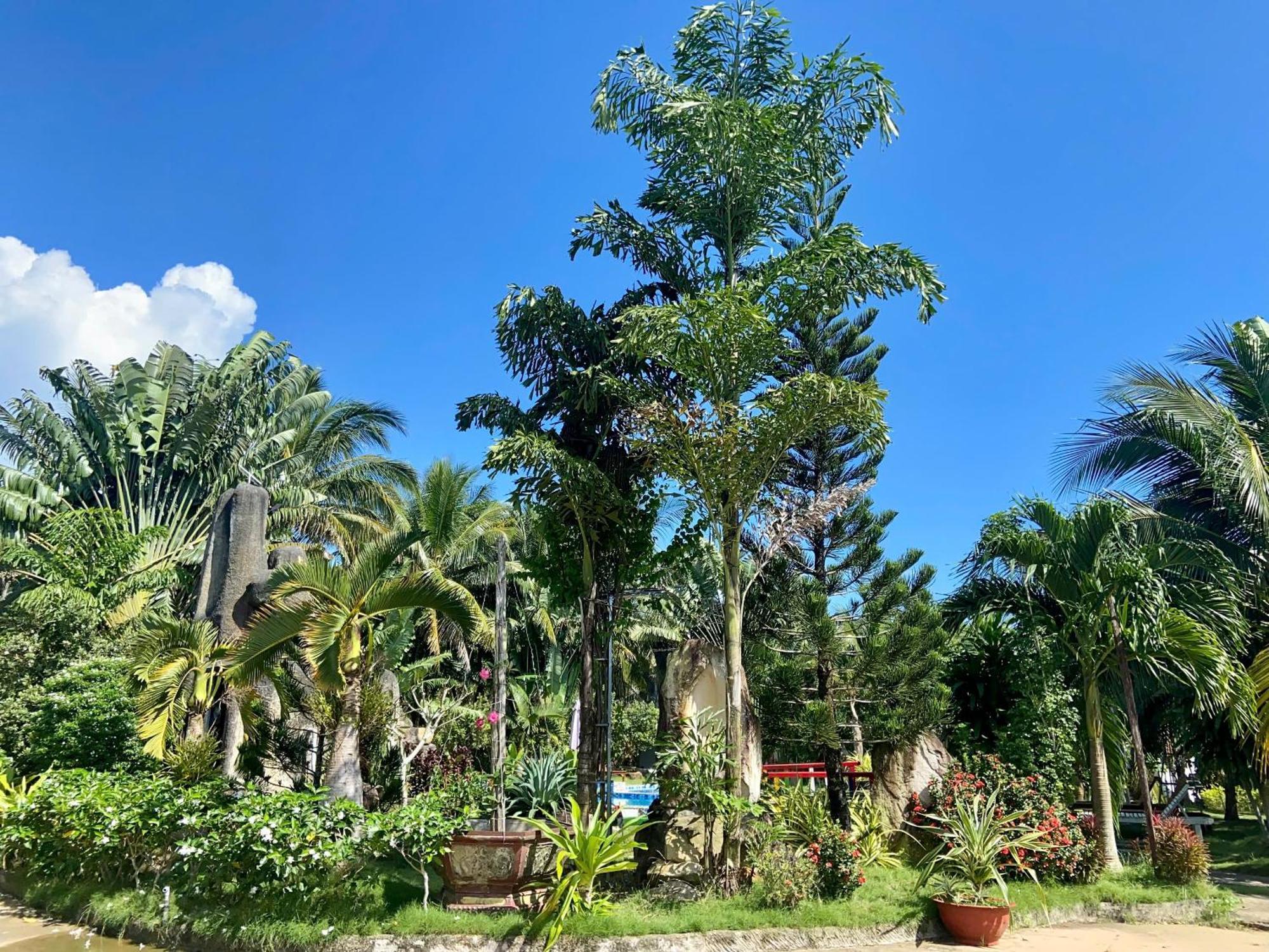 Y Nghia Bungalow Ong Lang 富国 外观 照片