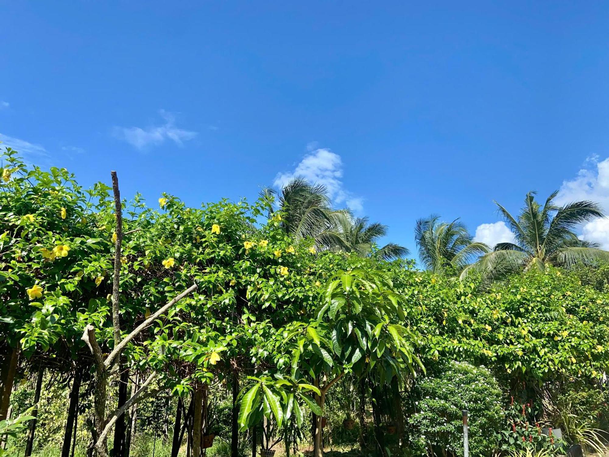 Y Nghia Bungalow Ong Lang 富国 外观 照片