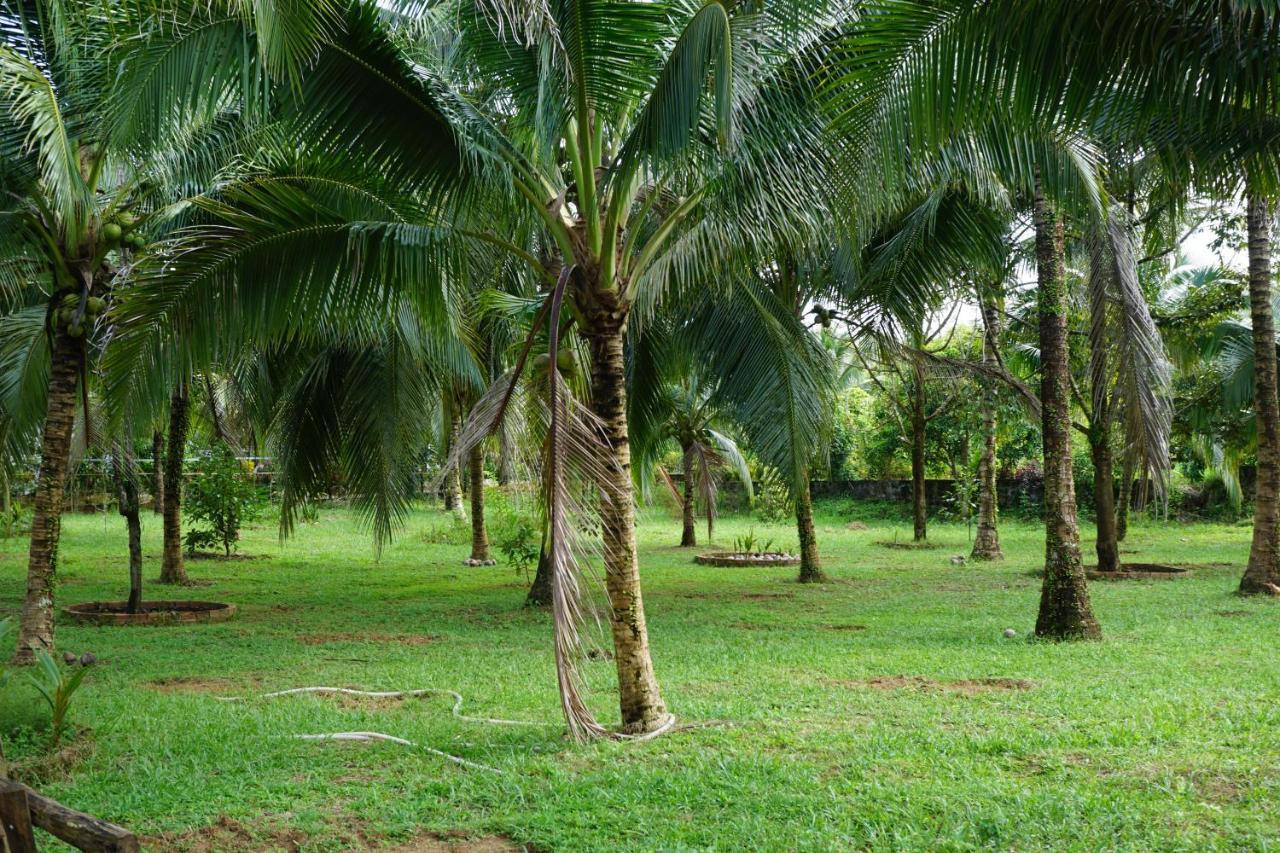 Y Nghia Bungalow Ong Lang 富国 外观 照片